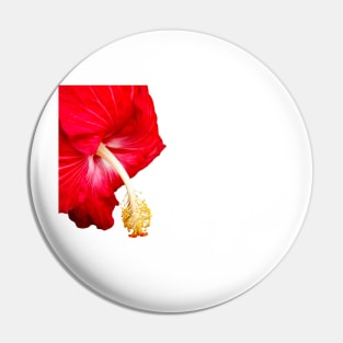 Red hibiscus flower on white. Pin