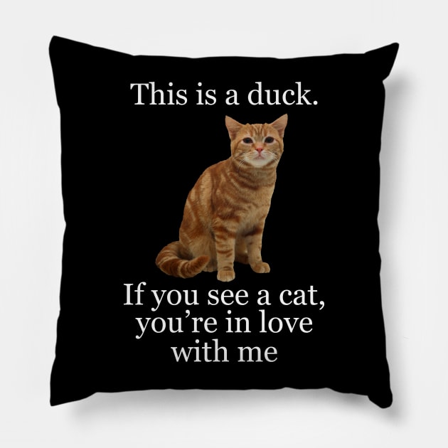 This is a duck Pillow by giovanniiiii