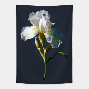 Irises - White Iris in Sunshine Tapestry