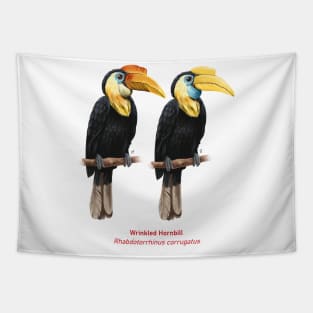 Wrinkled hornbill | Rhabdotorrhinus corrugatus ⚥ Tapestry