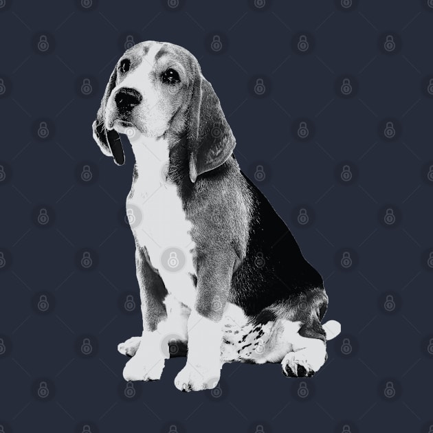 beagle by big_owl