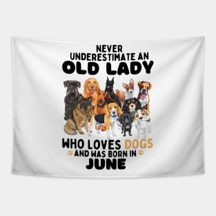 Never Underestimate An Old Lady Who Loves Dogs And Was June Tapestry