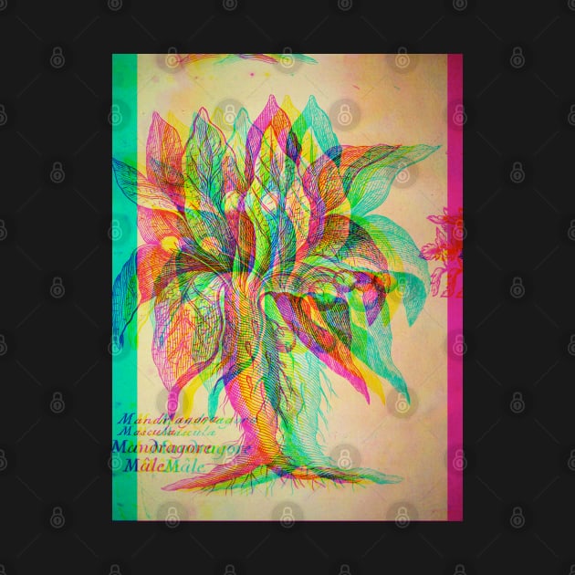 Mandragora Antique Engraving Glitch Ver. by chilangopride