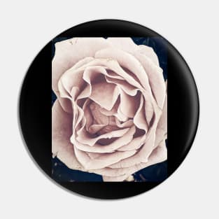 Rose pins for sale discount