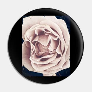 Pink Rose Pin