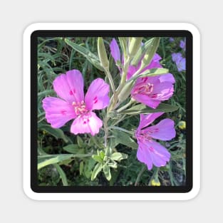 Purple Wild Flower Magnet