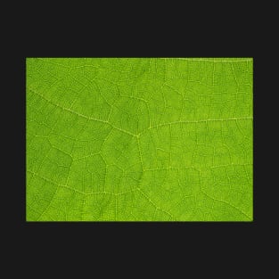 Discovering Beauty in the Small Things: A Magnified View of a Leaf T-Shirt