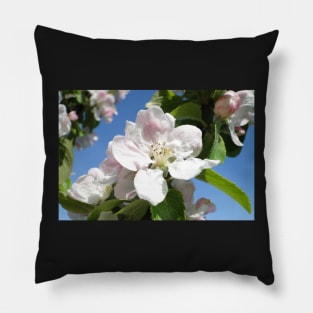 Apple Blossom Pillow