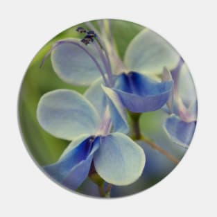 Unique Blue Flower with green leaves nature lovers beautiful photography design Pin