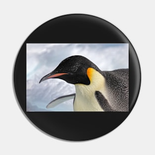 Adult emperor penguin Pin