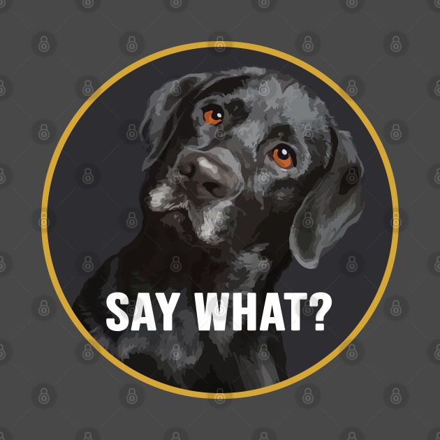 Disover Black Labrador, say what? - Black Lab - T-Shirt