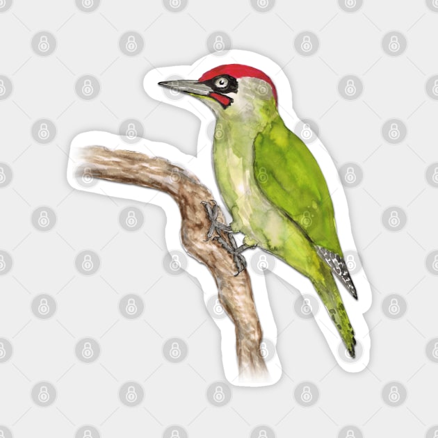 European green woodpecker Magnet by Bwiselizzy