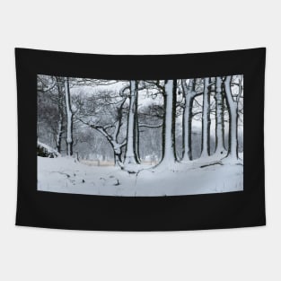 Snowy Side of Winter Tapestry