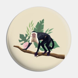 capuchin monkey tree branch Pin