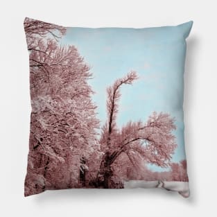 Southern Illinois Winter Scene 8_ Dec 2012 Pillow