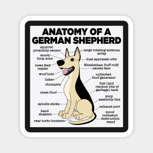 Anatomy of a German Shepherd Magnet