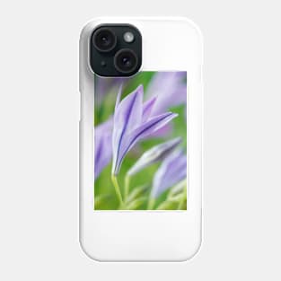 Triteleia laxa  'Koningin Fabiola'  Triplet lily  Also known as Queen Fabiola Phone Case