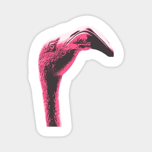 Funny Flamingo Magnet
