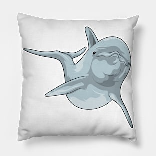 Dolphin at Swimming Pillow