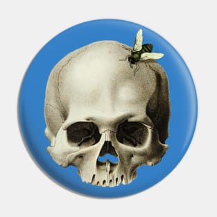 Skull with a fly around Pin