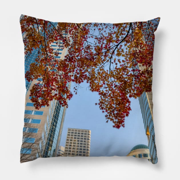 Fall in City Pillow by jvnimages