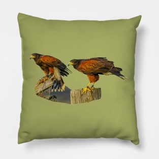 Pair of Harris Hawks on the hunt Pillow