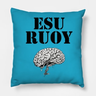 Use Your Brain Pillow