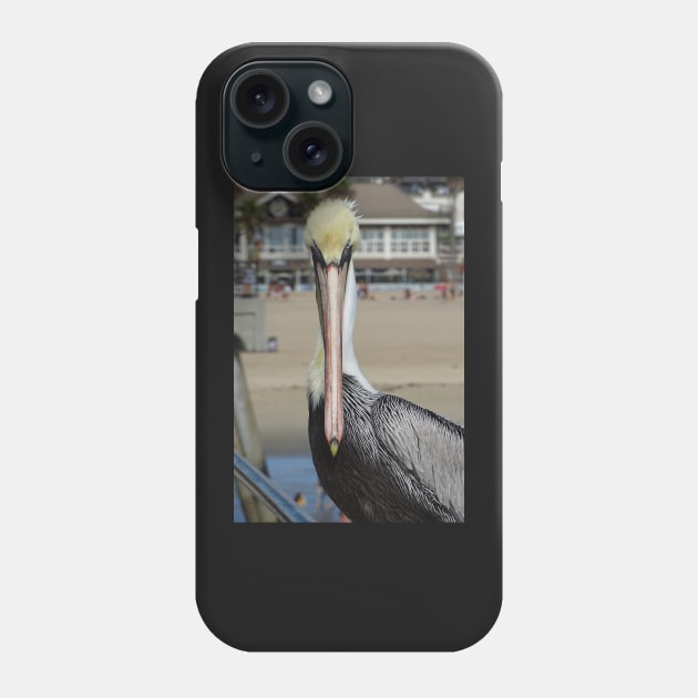 Pelican Eye to Eye Phone Case by AH64D