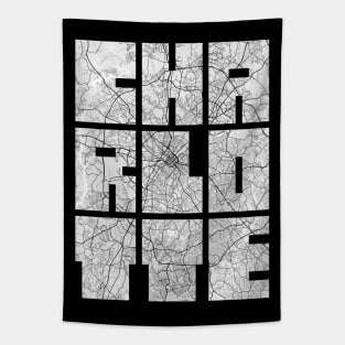 Charlotte, North Carolina, USA City Map Typography - Light Tapestry