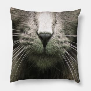 Cute Cat Whiskers Face Pillow