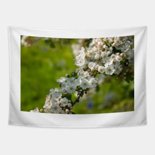 Spring white pear tree flowers on a green field Tapestry