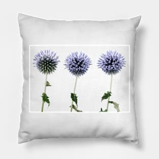 Echinops Pillow