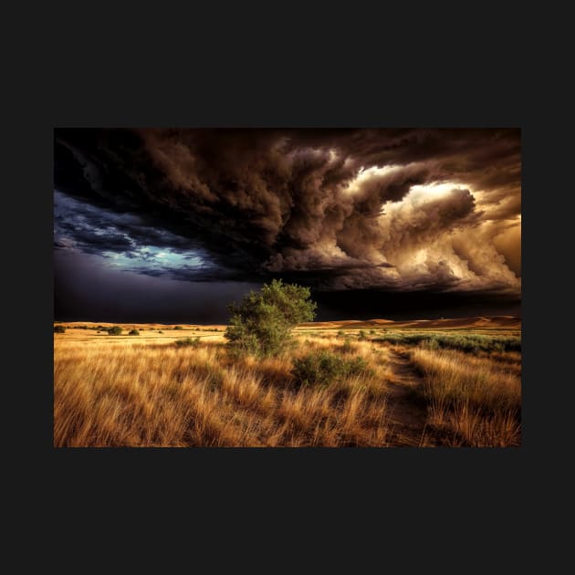 A Large Storm Cell Out on the Plains - Landscape by jecphotography