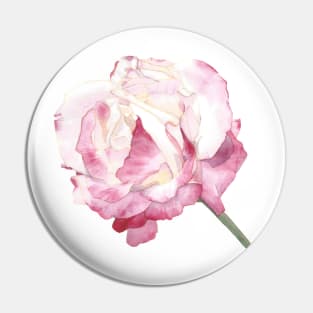 Rose Double Delight Pin