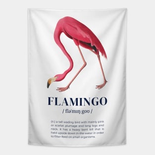 Flamingo - Animal Dictionary Definition Tapestry