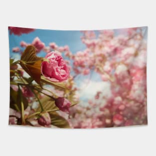 sakura garden Tapestry