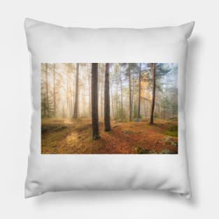 Foggy morning sun light forest Pillow