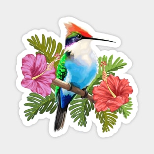 Hummingbird resting and Hibiscuses Magnet