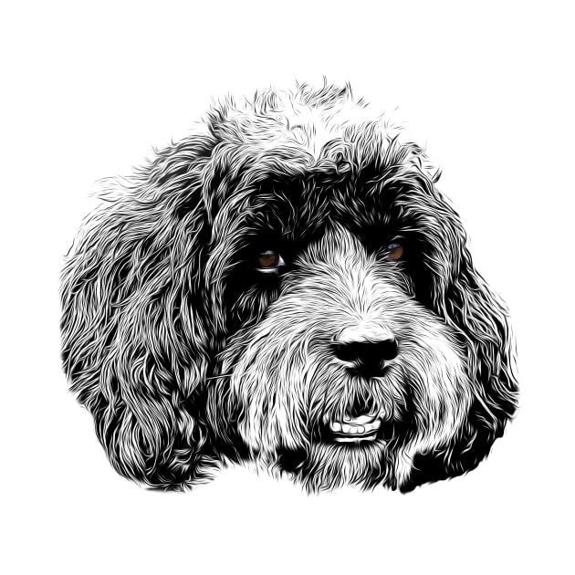 Black and white image of a Cockapoo by skidmarks64