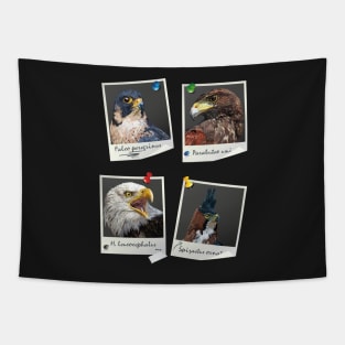 Birds of prey Tapestry