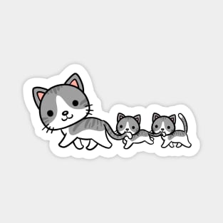 Meow Train Magnet