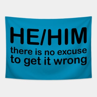 Pronouns: HE/HIM - there is no excuse to get it wrong Tapestry