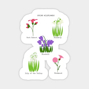 Spring Wildflowers Magnet