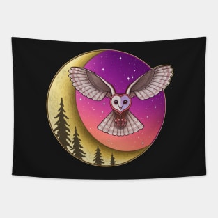 Barn Owl Night Tapestry