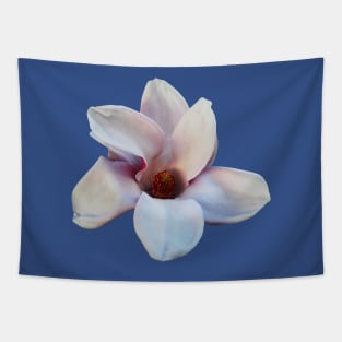 Magnolias - One Magnolia Blossom Tapestry