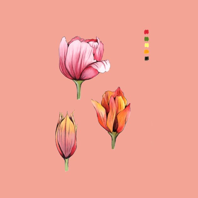 Tulips by IndiasIllustrations