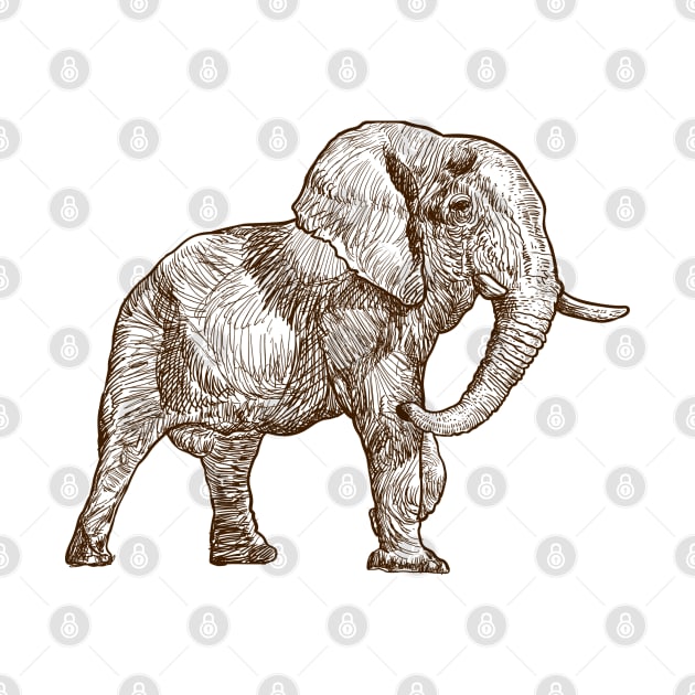 Elephant Sketch by Mulyadi Walet