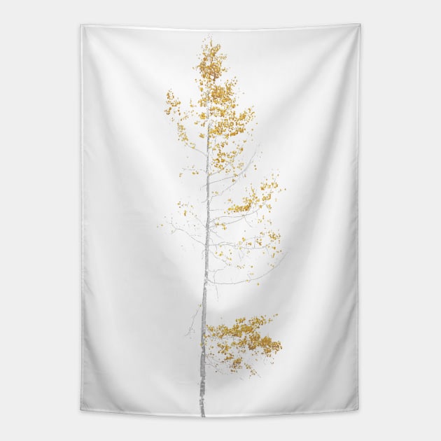 autumn aspen Tapestry by pholange