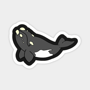 Cartoon Southern Right Whale Magnet