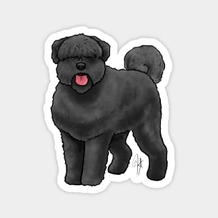 Dog - Bouvier des Flanders - Black Natural Magnet